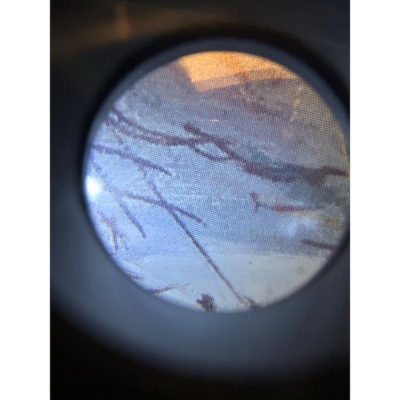 Vintage Seascape Beach At the Beach  Scene Framed Art Lithograph Print By A. Seh - Picture 8 of 8